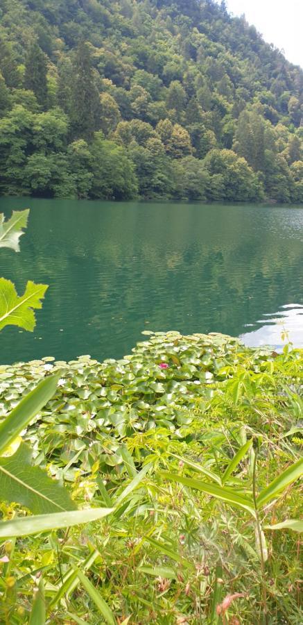 Casa Vacanze Bastiani Novaledo Bagian luar foto